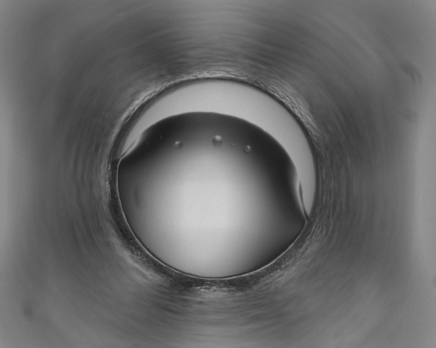 X0000111170300200907221033