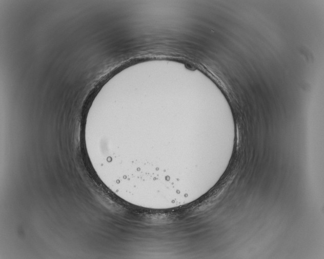 X0000111170301200907221033