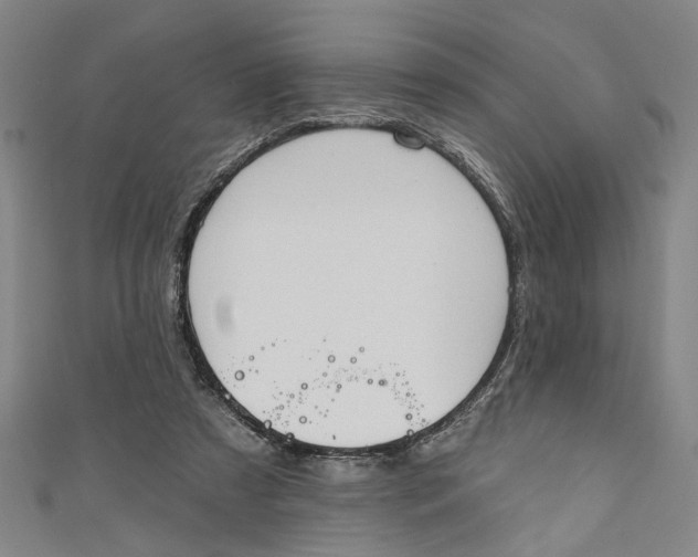 X0000111170305200907221033