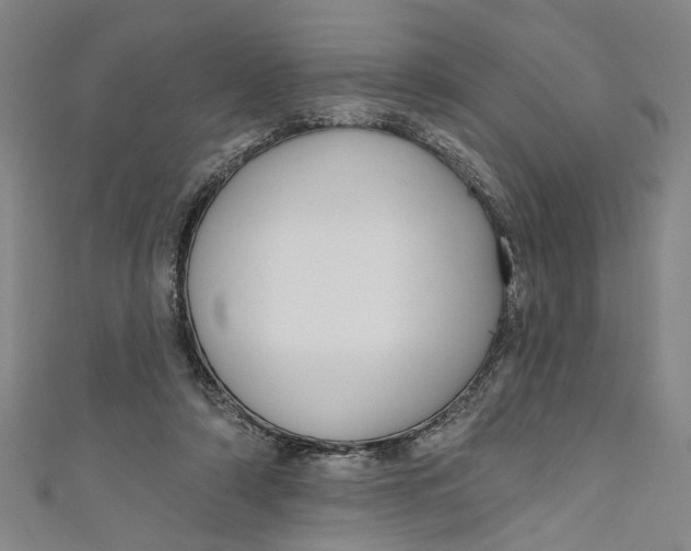 X0000111170306200907221033