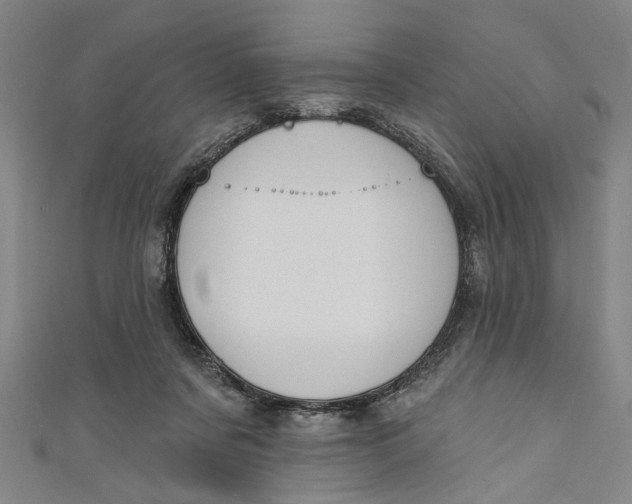 X0000111170311200907221033