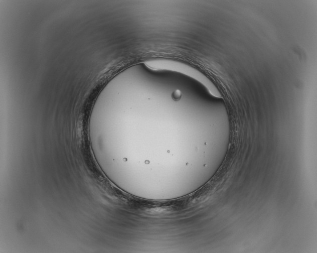 X0000111170312200907221033