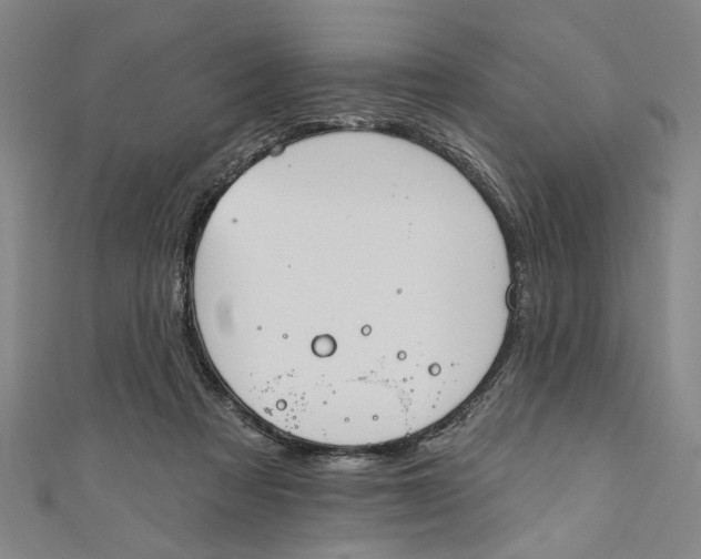 X0000111170313200907221033