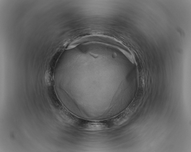 X0000111170316200907221033