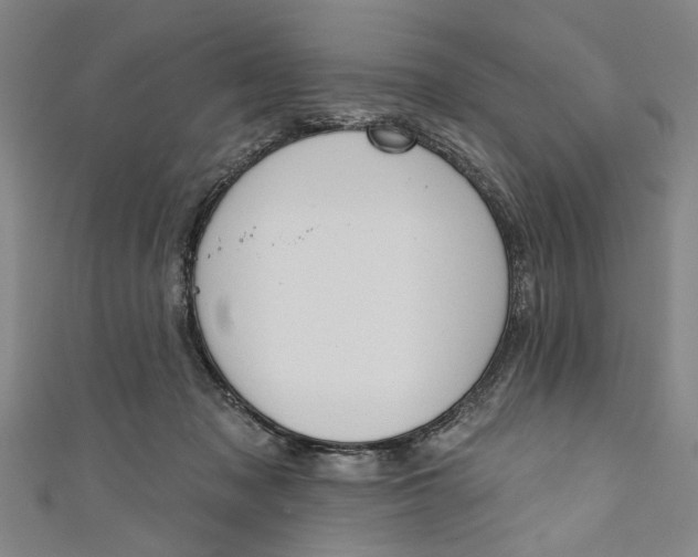 X0000111170317200907221033