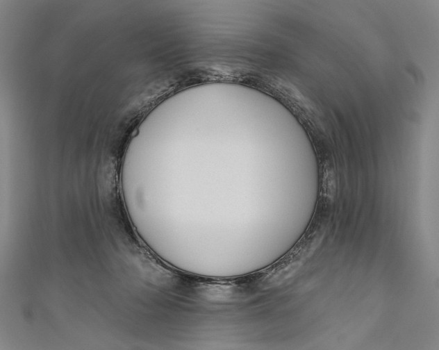 X0000111170318200907221033