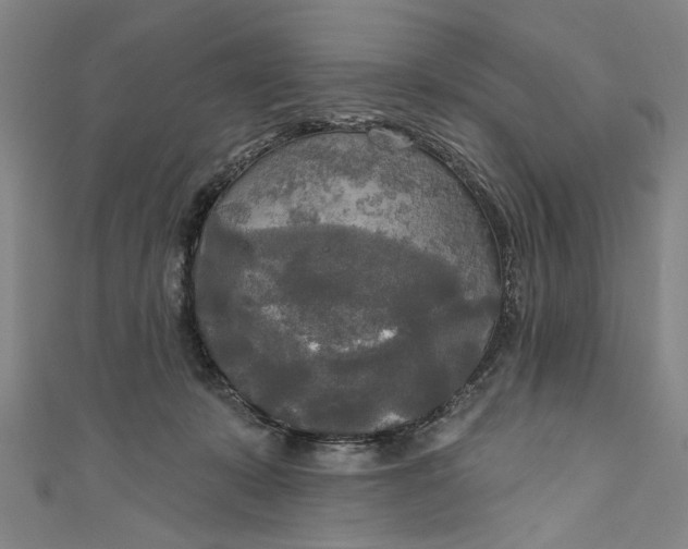 X0000111170319200907221033