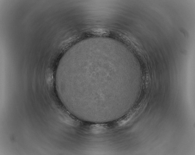 X0000111170320200907221033