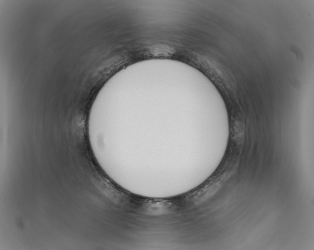 X0000111170321200907221033