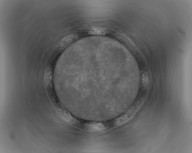 X0000111170322200907221033