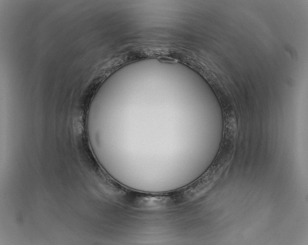 X0000111170323200907221033