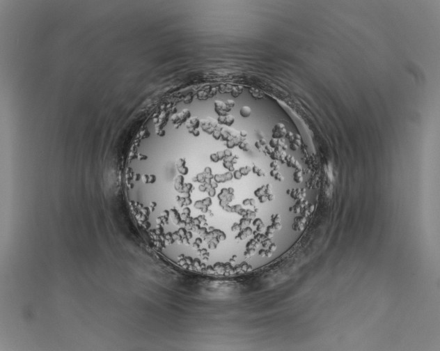 X0000111170324200907221033