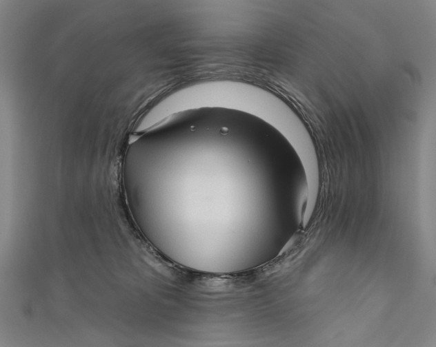 X0000111170325200907221033