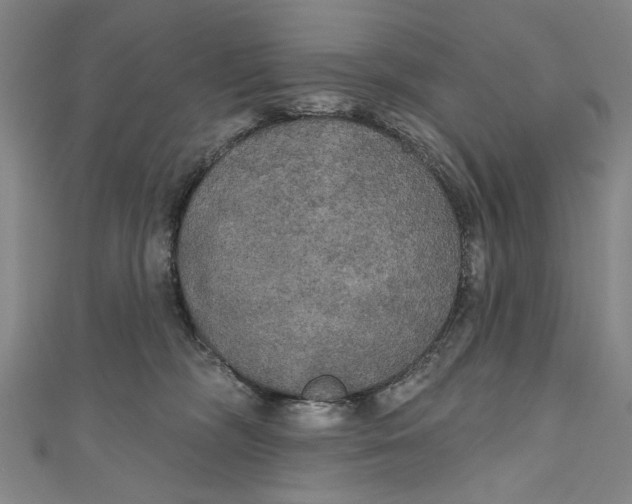 X0000111170326200907221033