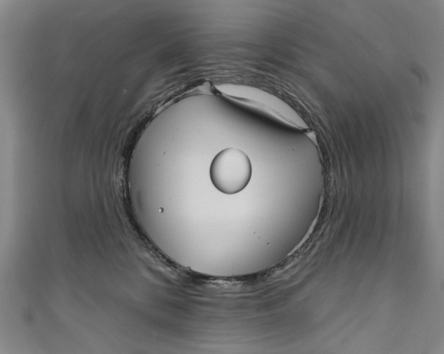 X0000111170328200907221033