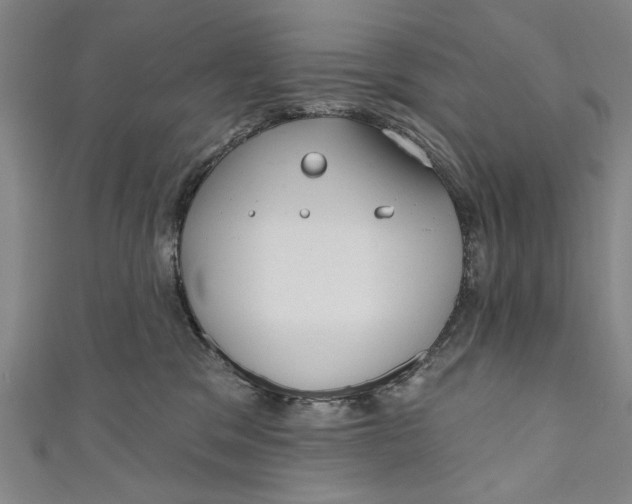 X0000111170329200907221033