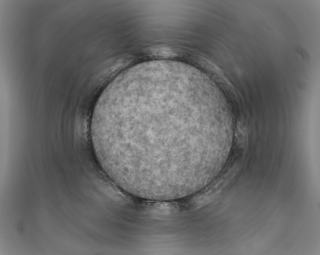 X0000111170330200907221033