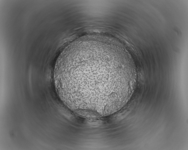 X0000111170331200907221033