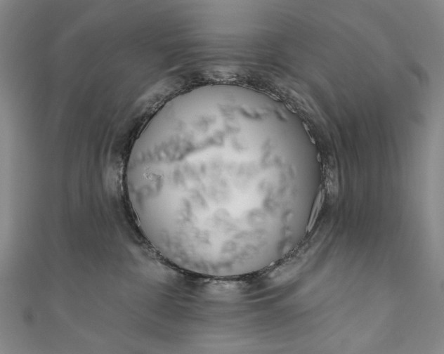 X0000111170332200907221033