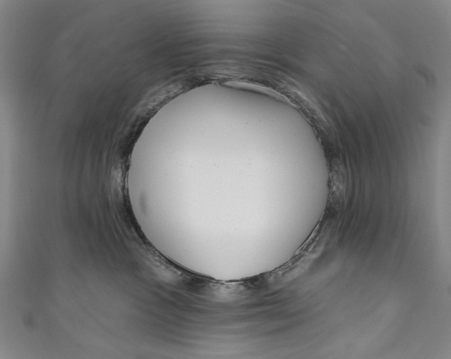 X0000111170333200907221033