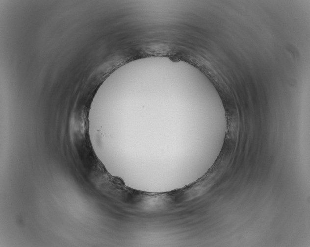 X0000111170334200907221033