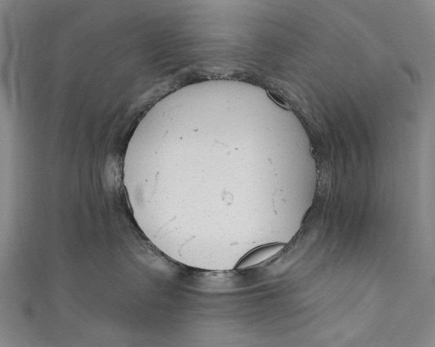 X0000111170335200907221033