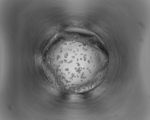 X0000111170336200907221033