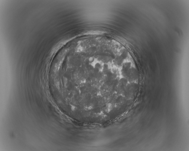 X0000111170337200907221032