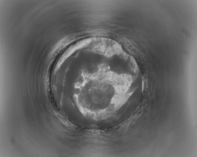 X0000111170339200907221032