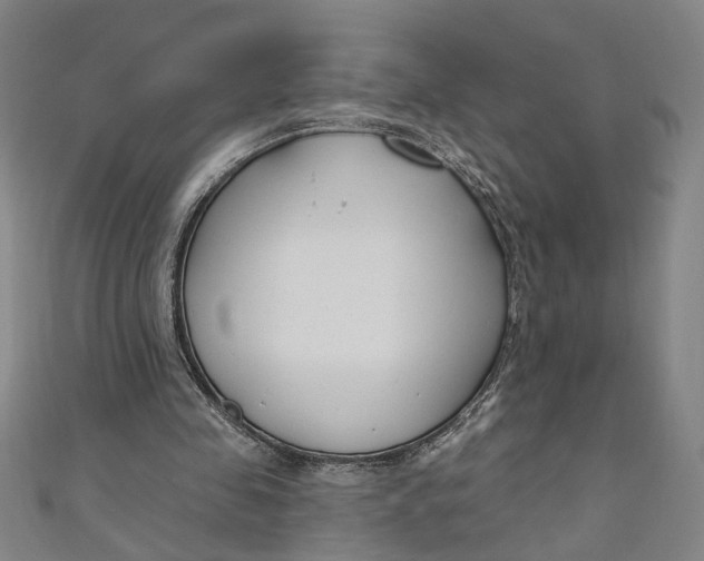 X0000111170341200907221032