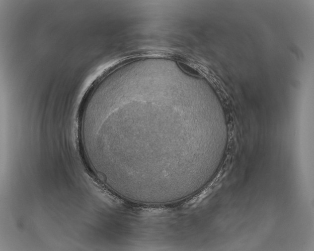 X0000111170342200907221032