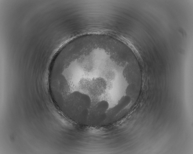 X0000111170346200907221033