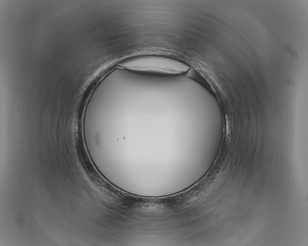 X0000111170348200907221033