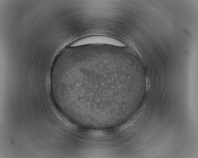 X0000111170349200907221033