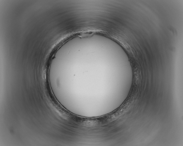 X0000111170350200907221033