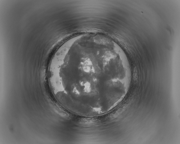 X0000111170351200907221033