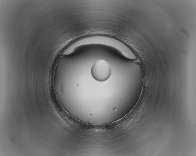 X0000111170352200907221033