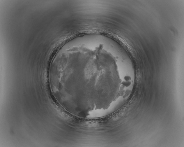 X0000111170353200907221033