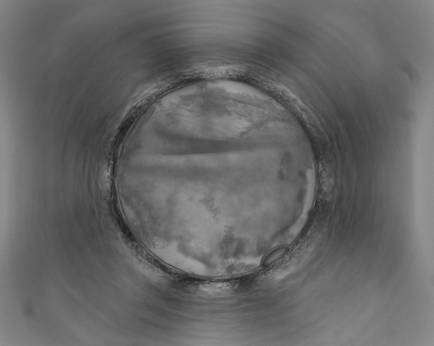 X0000111170357200907221033