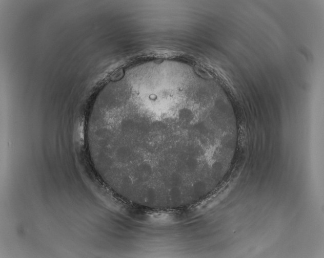 X0000111170358200907221033