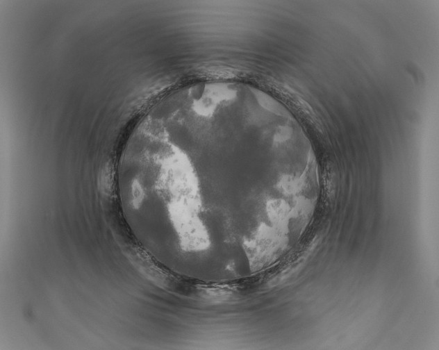 X0000111170359200907221033