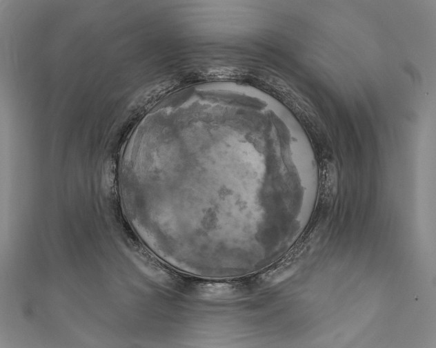 X0000111170361200907221033