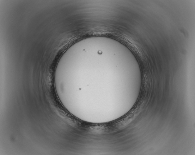 X0000111170362200907221033