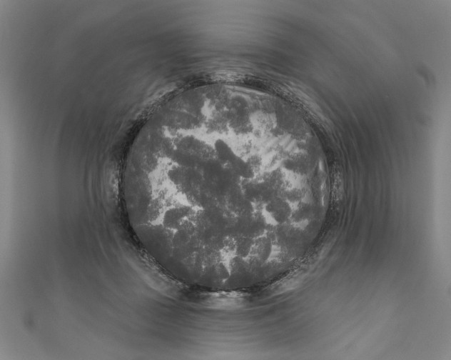 X0000111170363200907221033