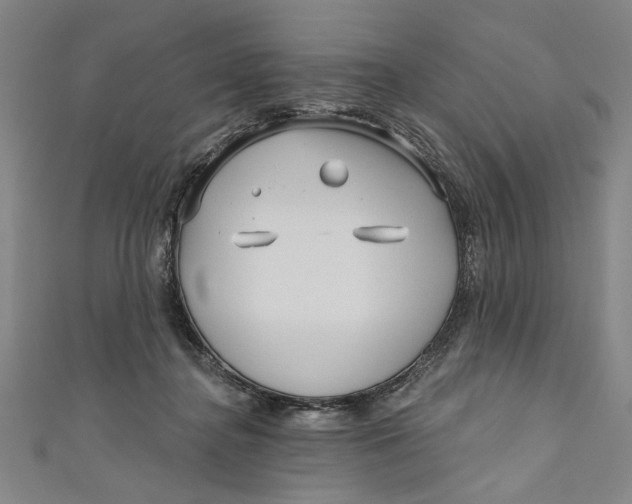 X0000111170364200907221033