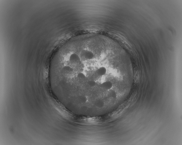 X0000111170365200907221033