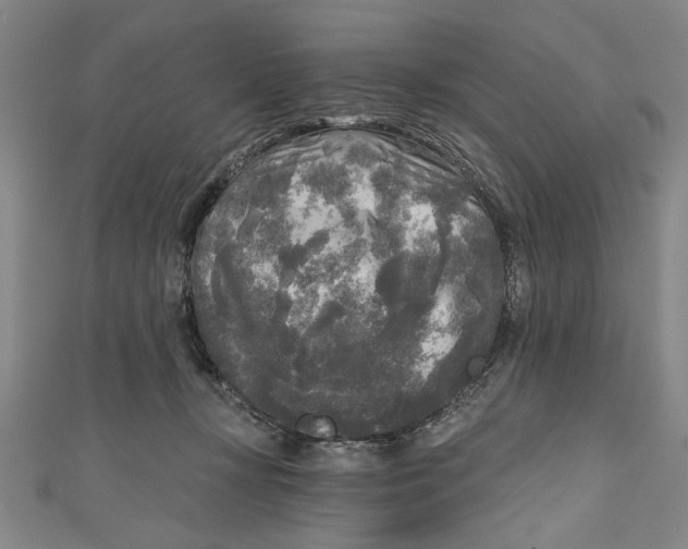 X0000111170367200907221033