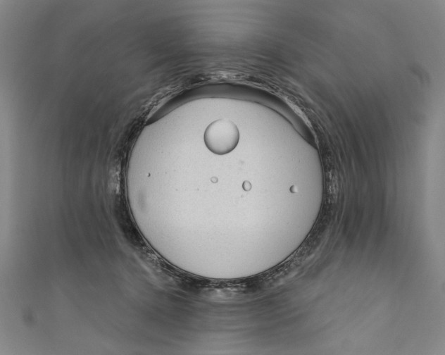 X0000111170368200907221033