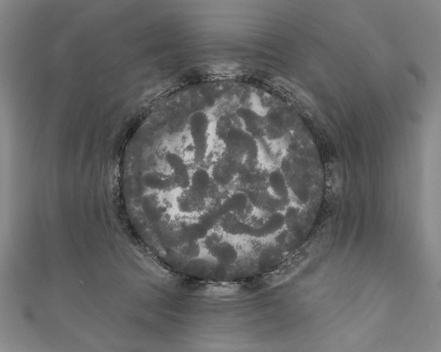 X0000111170369200907221033