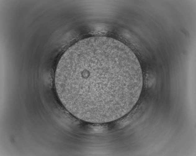 X0000111170370200907221033